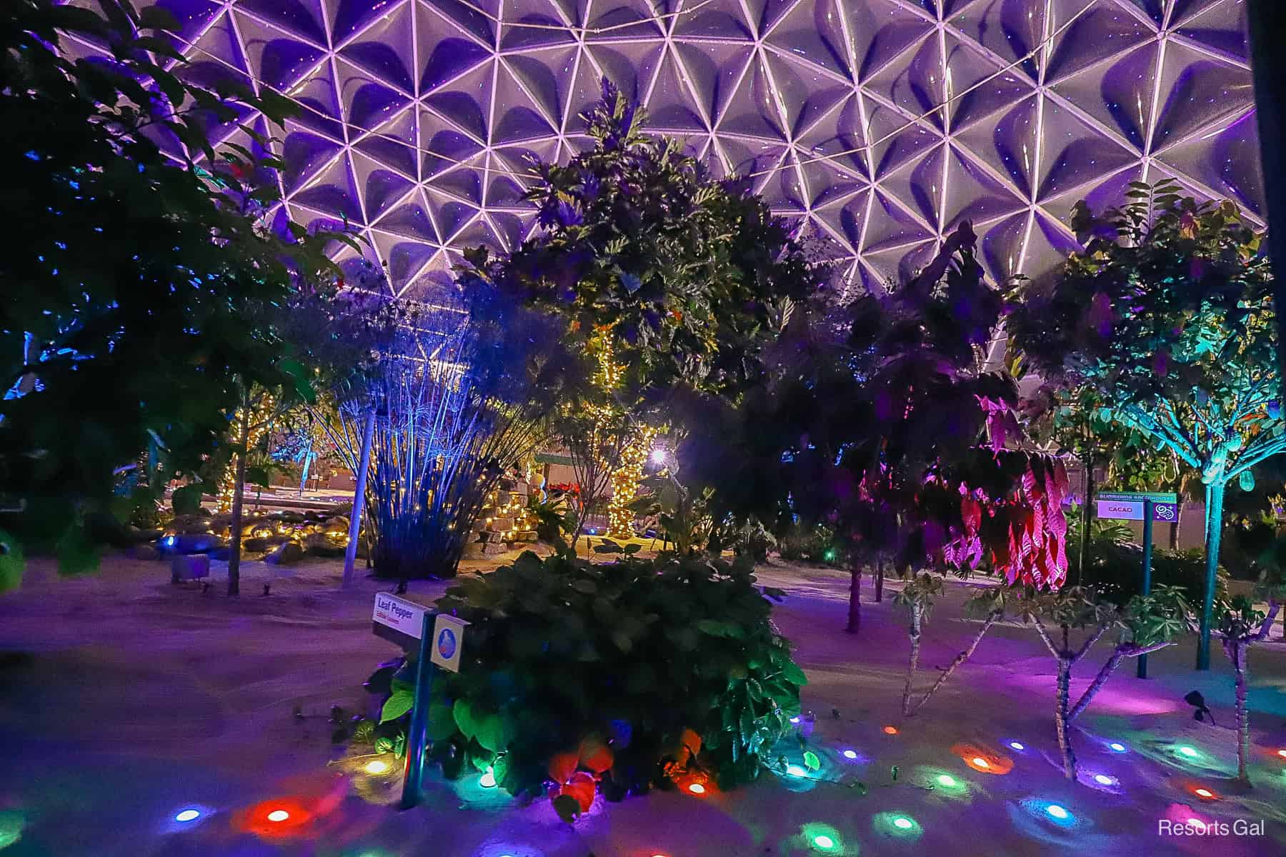 Behind the Seeds: Glimmering Greenhouse Holiday Walking Tour Returns to Epcot