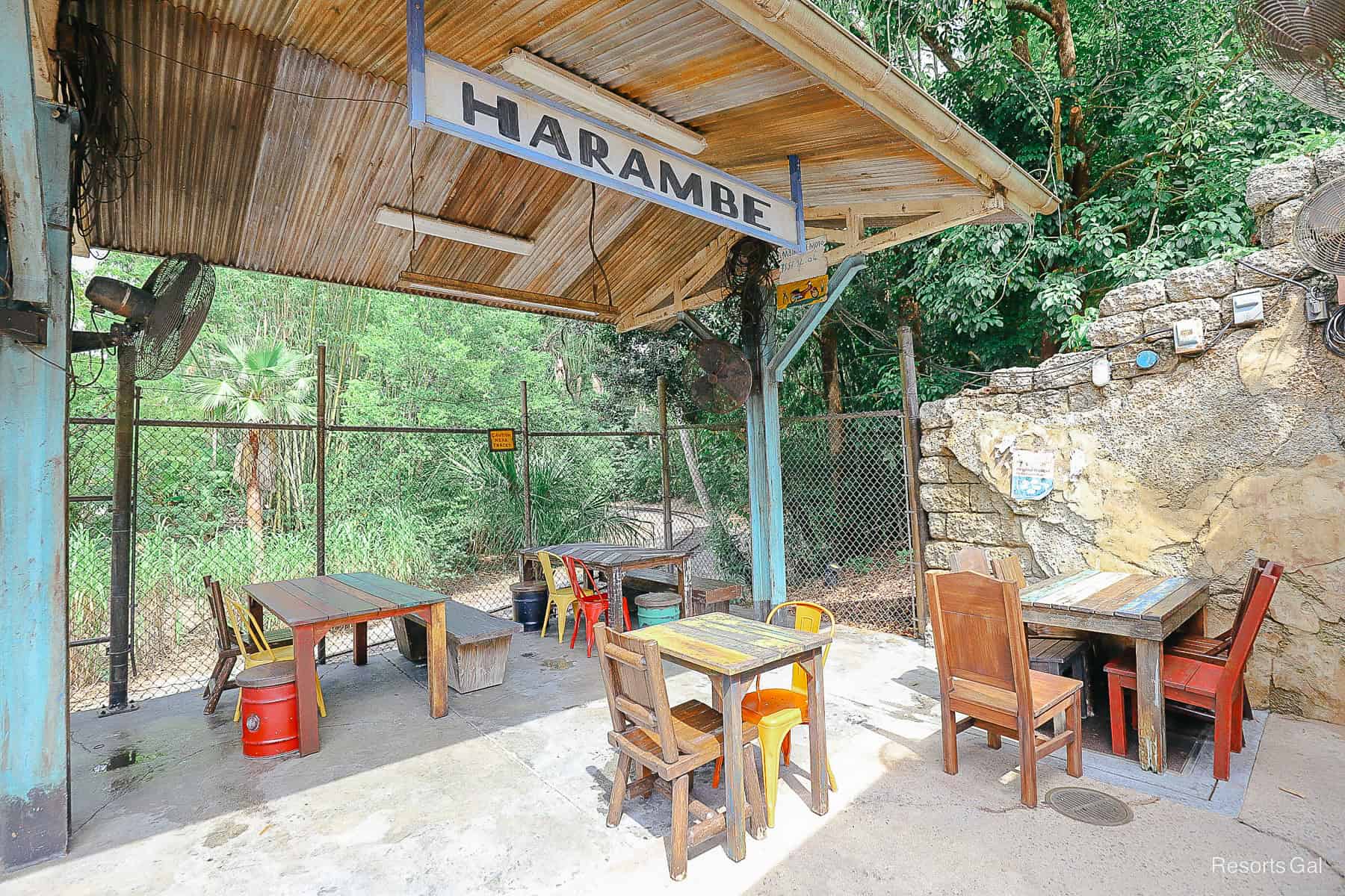 Harambe Market at Disney’s Animal Kingdom Temporarily Closing Through Holiday Season