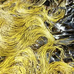 Organic Seaweed Sea Spaghetti (Himanthalia elongata) 40g