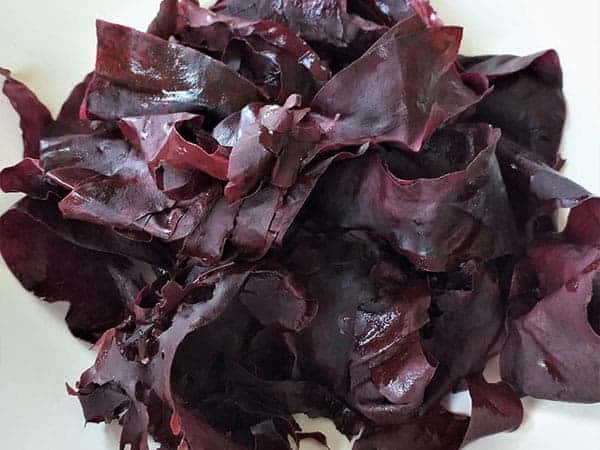 dulse-palmaria-palmata-small dulse