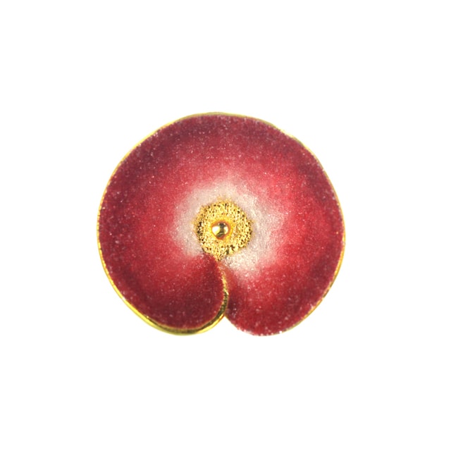 Επίχρυσο 925 δαχτυλίδι νούφαρο