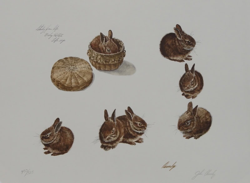 John Chumley Day at the MSV | Museum of the Shenandoah Valley