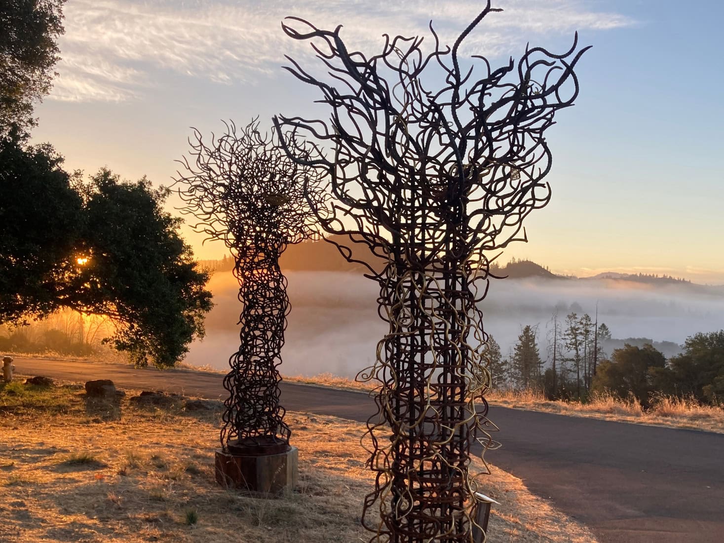 Series: Featured | Museum of the Shenandoah Valley