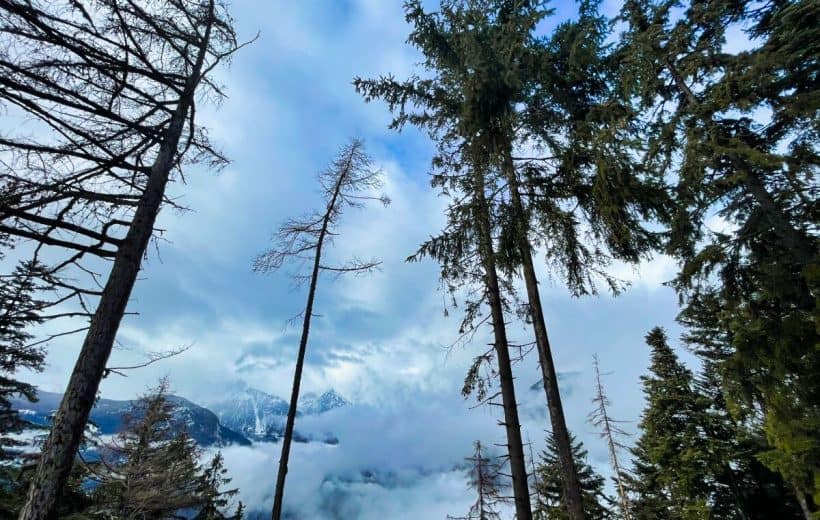 Montagne svizzere