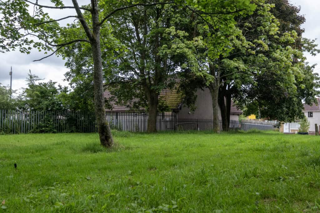 Lush green outdoor space at Thrive Childcare with mature trees, a grassy lawn, and a surrounding fence, providing a safe environment for children to play and explore nature.