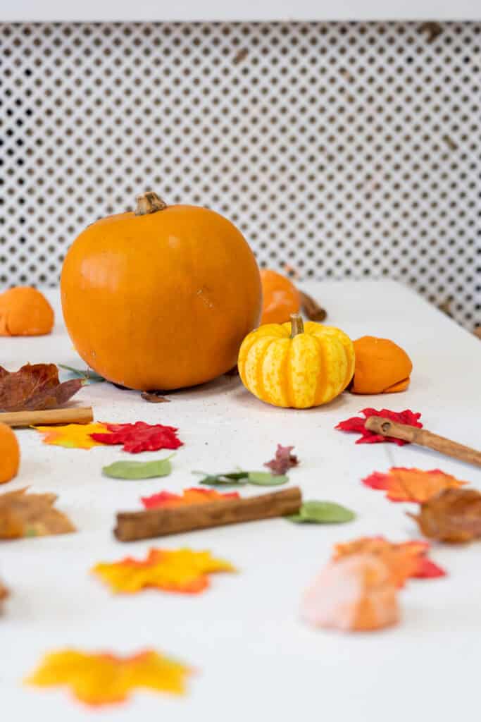 Vibrant autumnal display of pumpkins and colourful fall leaves, ideal for children’s seasonal crafts and activities at Thrive Childcare. Perfect for fostering creativity and celebrating autumn.