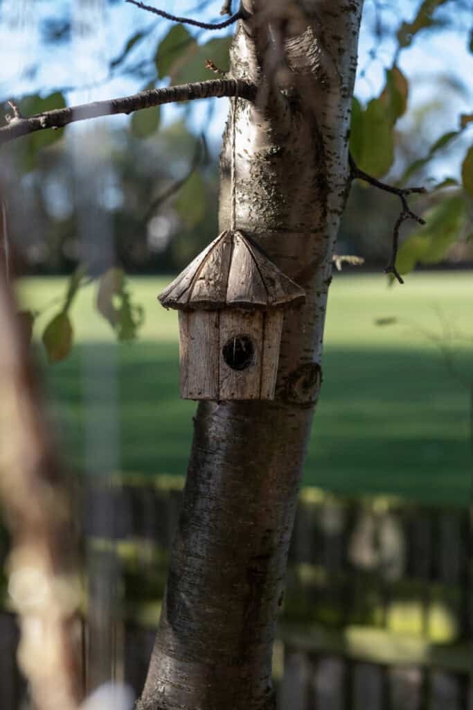 A rustic wooden birdhouse hanging on a tree branch in a lush outdoor setting, ideal for young children’s outdoor learning and nature exploration activities at Thrive Childcare.