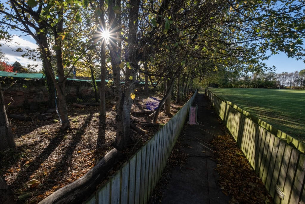 Bright sunshine filtering through trees on playground at Thrive Childcare, outdoor learning environment, early childhood education, safe play area, nature-based childcare.