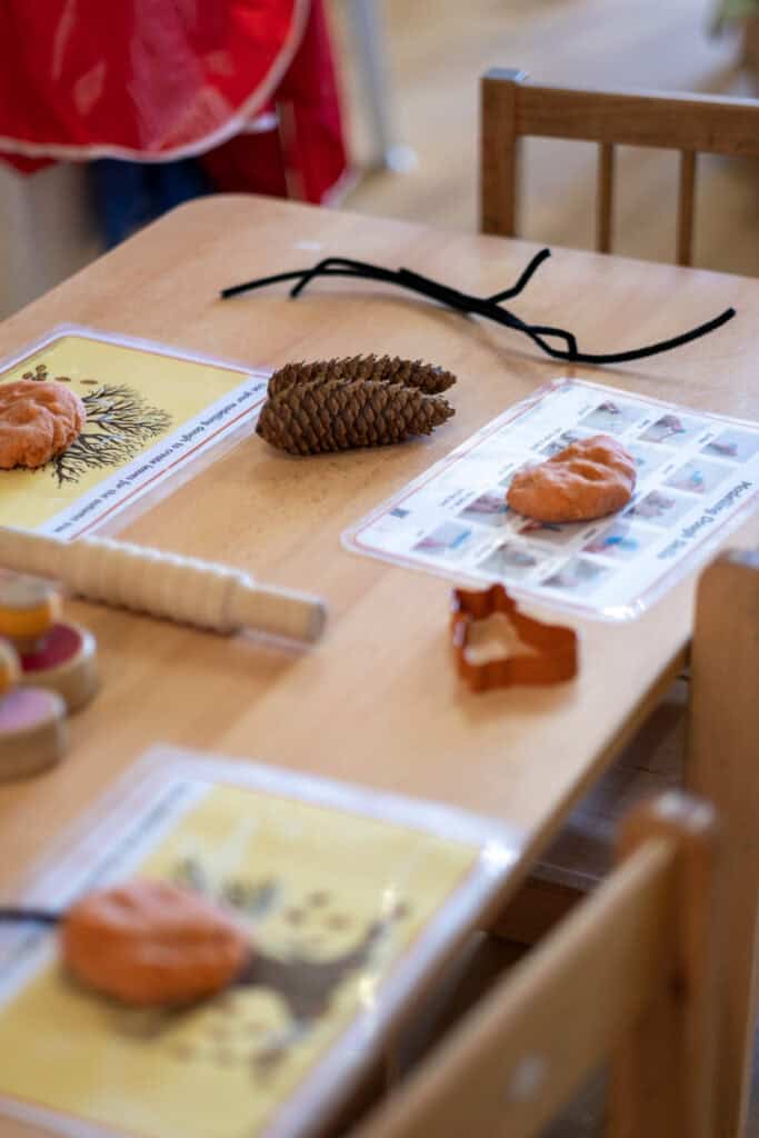 Pine cone and autumn-themed craft materials on a children's table, supporting creative activities at Thrive Childcare.
