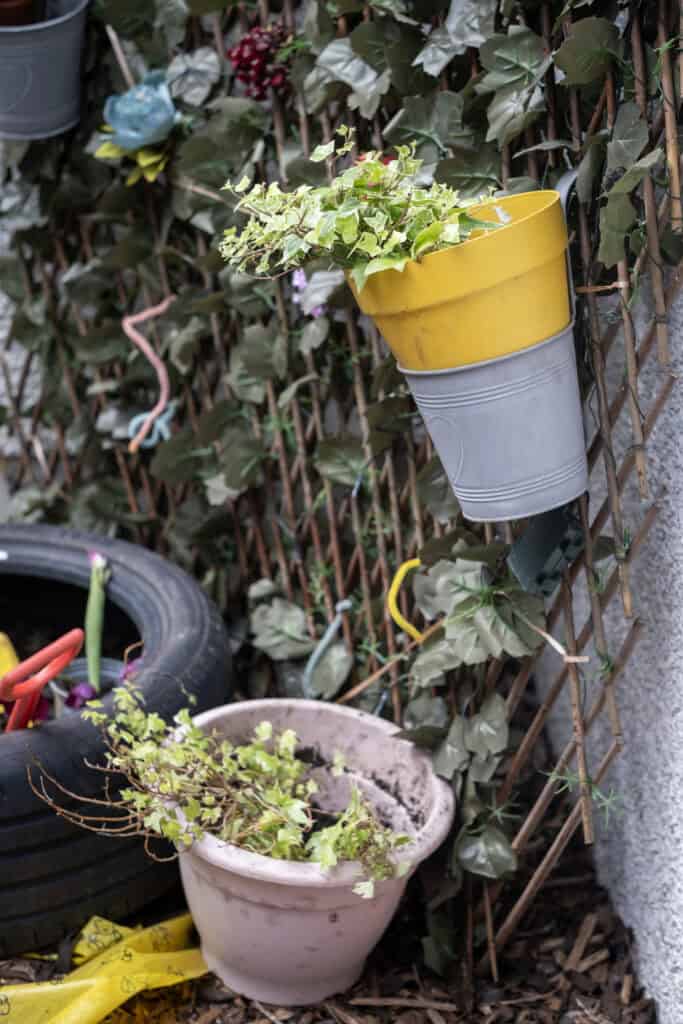 Vibrant green ivy plant in a yellow and grey hanging planter, surrounded by garden pots and decorative items on a wooden trellis, showcasing outdoor garden design and childcare nursery elements.