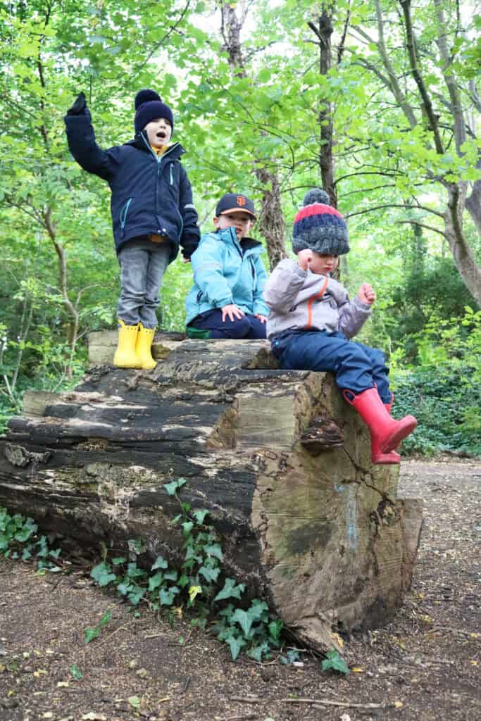 Brightly dressed children exploring outdoors on a fallen tree in a lush green woodland area, showcasing outdoor play and nature-based learning at Thrive Childcare.
