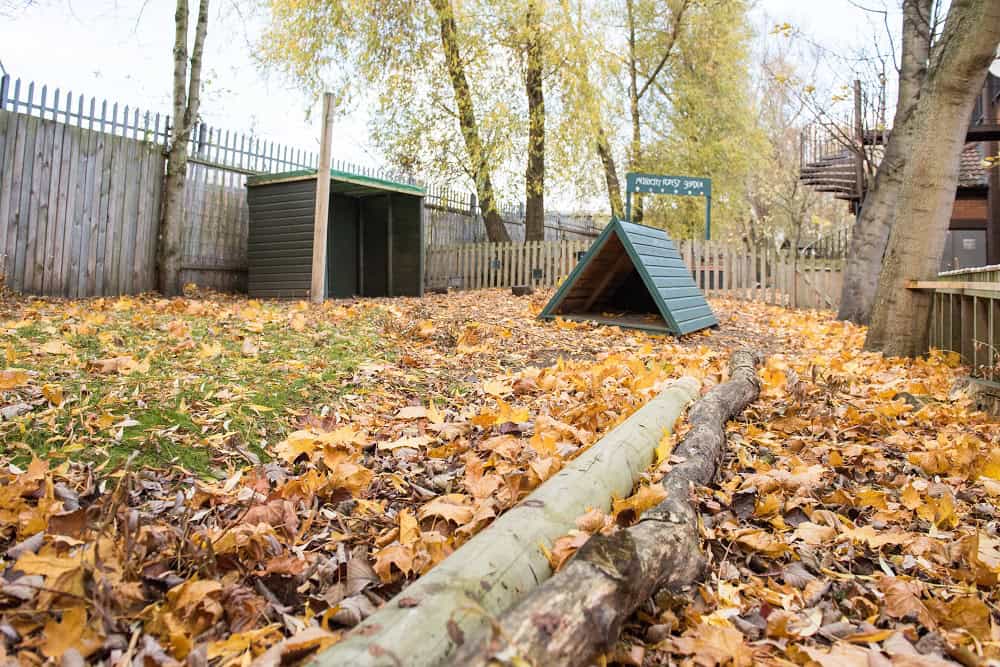 Autumn outdoor play area at Thrive Childcare with fallen leaves, wooden play structures, and trees providing a natural environment for children.