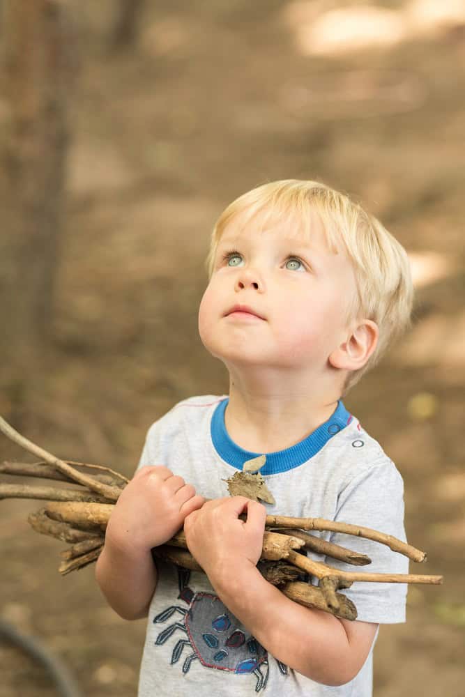 Young boy holding sticks in forest, outdoor play, child exploration, preschool activities, nature learning, early childhood education, outdoor childcare, Thrive Childcare center, children environmental play, nature-inspired learning.