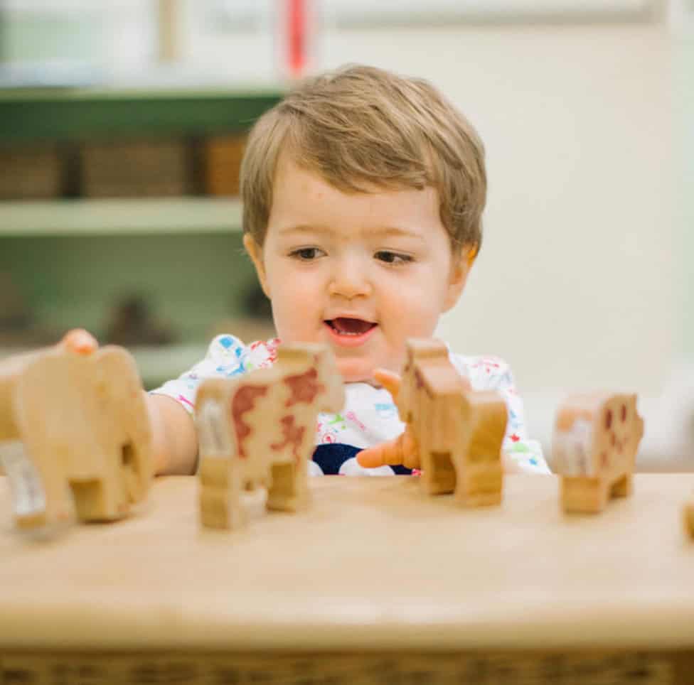 A young child playing with wooden animal toys in a bright, welcoming childcare environment at Thrive Childcare, promoting early childhood development and learning through play.