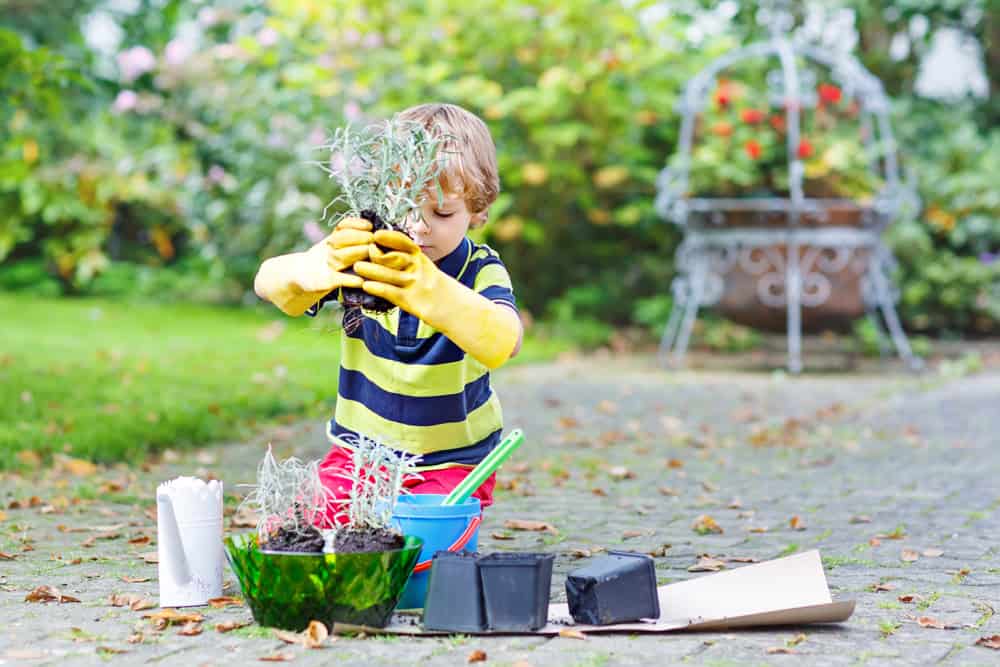 Bright toddler planting a flower in a garden, promoting outdoor learning at Thrive Childcare, fostering environmental awareness and early education.
