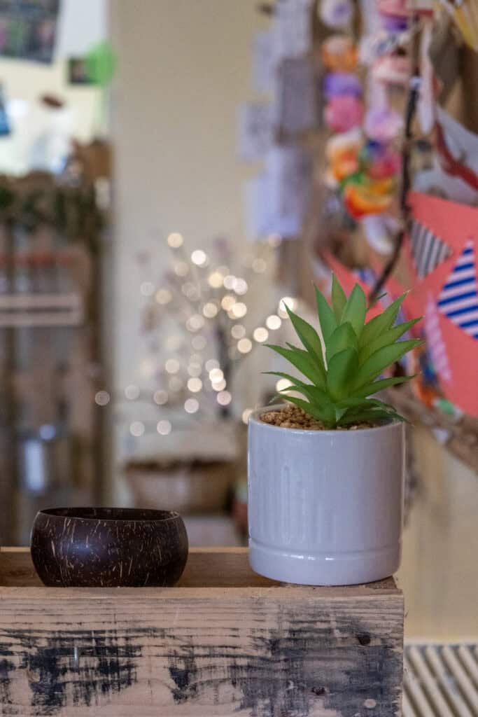 Bright indoor plant in a white pot on a wooden counter at Thrive Childcare, offering a warm, welcoming environment with natural decor to support children's wellbeing and learning.