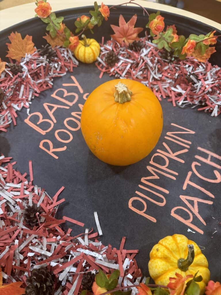Bright orange pumpkin surrounded by autumn leaves, faux berries, pinecones, and pink and white shredded paper for a festive fall or Thanksgiving decoration at Thrive Childcare.