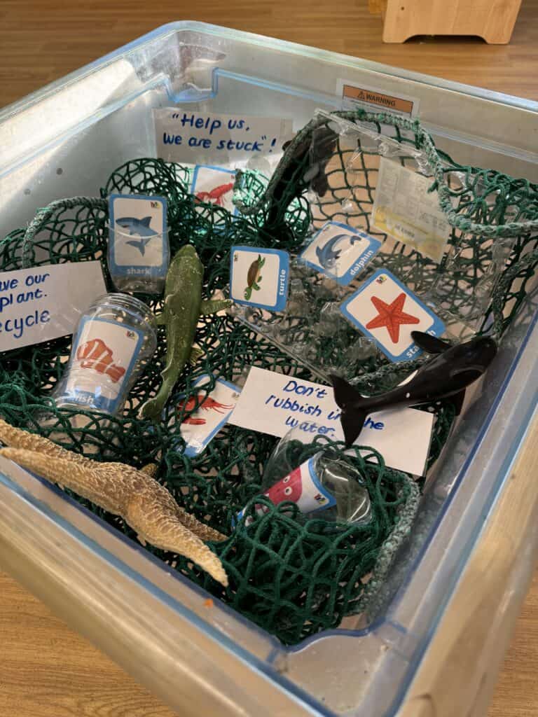 Shark, turtle, dolphin, starfish plastic sea animal toys in a transparent box with educational signs about recycling and water safety at Thrive Childcare.