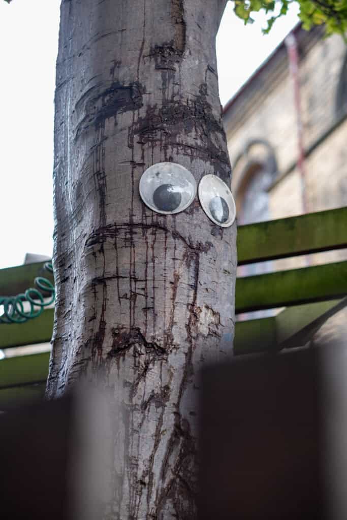 Brightly coloured children's play area with playful tree face created using googly eyes on a tree trunk, promoting outdoor play and nature exploration for early childhood development.
