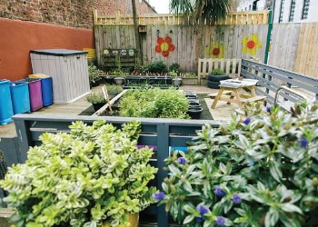 A colourful outdoor childcare garden with plants, gardening beds, and playful decorations, providing a safe and engaging space for children to learn and explore nature.