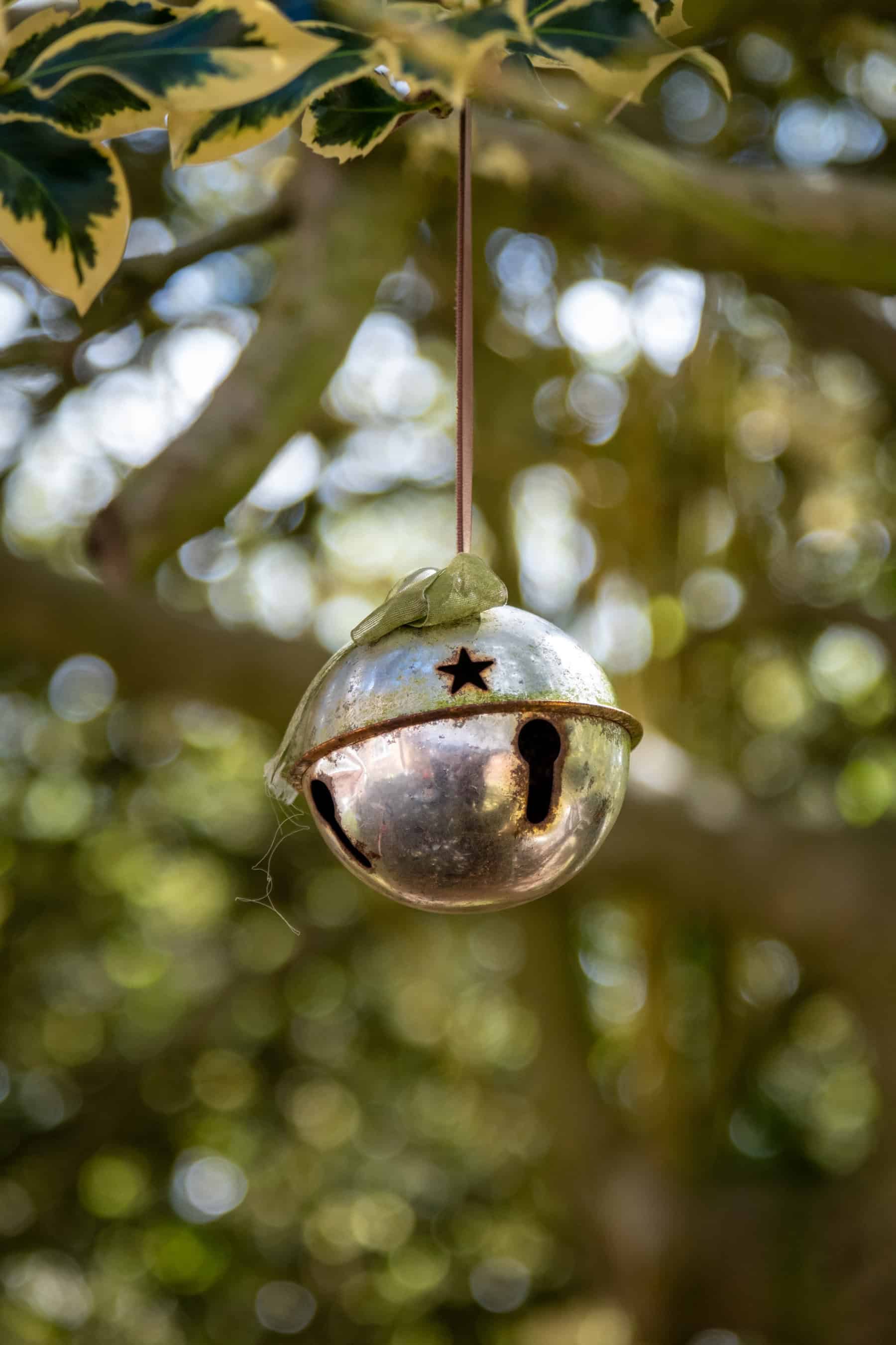 Colourful bell hanging from a leafy tree branch, symbolising outdoor play and nature activities at Thrive Childcare. Ideal for early childhood development and outdoor learning environments.