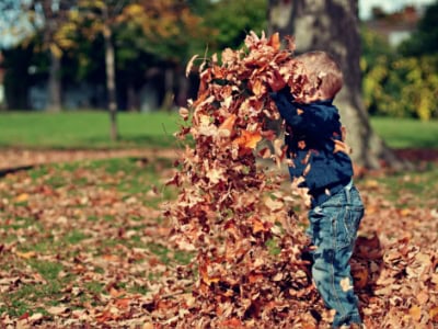 A young child playing outdoors with fallen autumn leaves at Thrive Childcare, promoting early childhood development and outdoor activities.