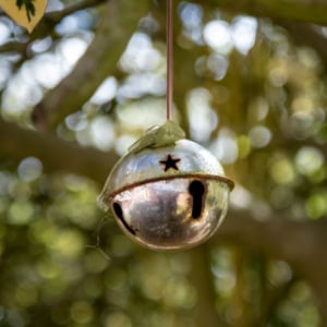 A festive silver bell hanging from a tree branch, with a star-shaped cutout, perfect for celebrating Christmas and the holiday season at Thrive Childcare.