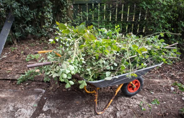 Branches and leaves in a garden wheelbarrow, symbolising outdoor childcare activities and nature-based play at Thrive Childcare, fostering early childhood development through outdoor learning.