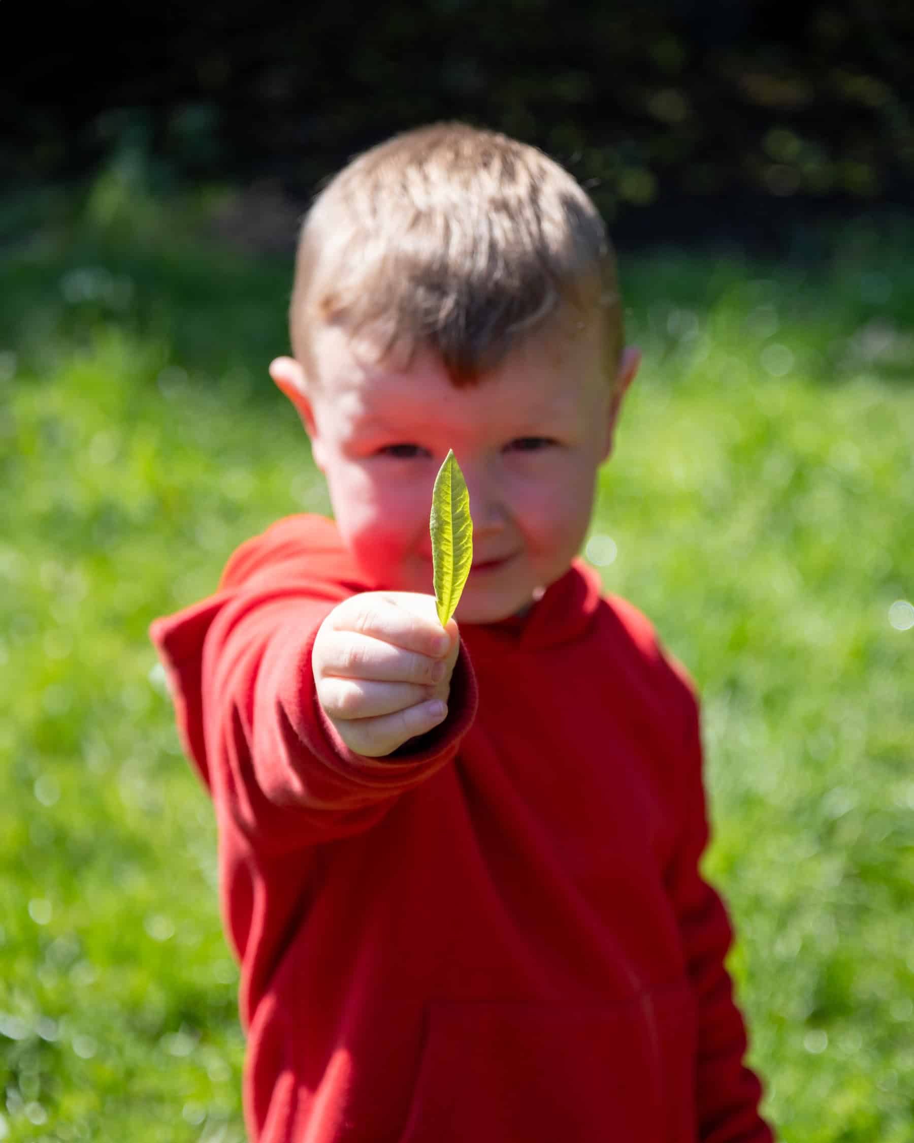 1. Child holding a green leaf outdoors, representing early childhood education and nature activities at Thrive Childcare.