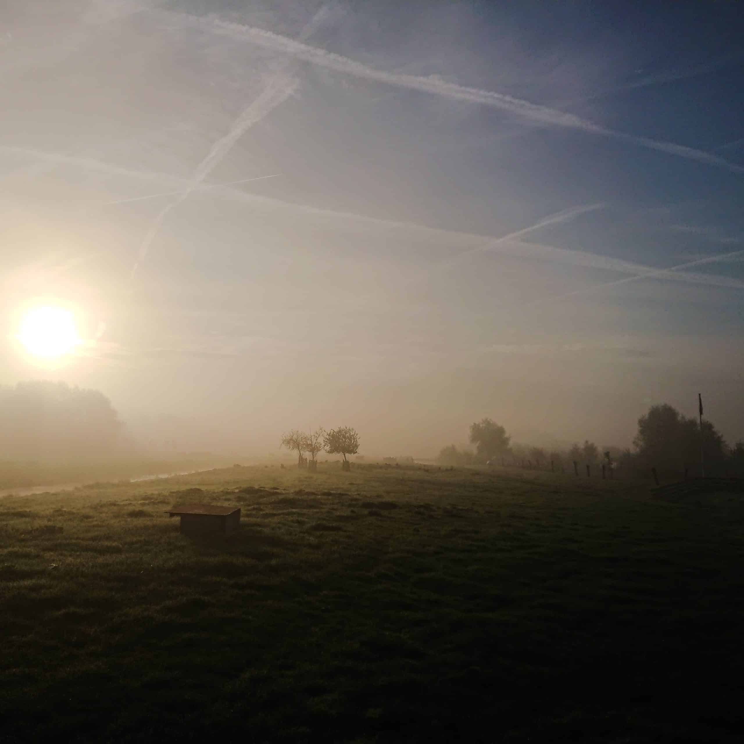 morning