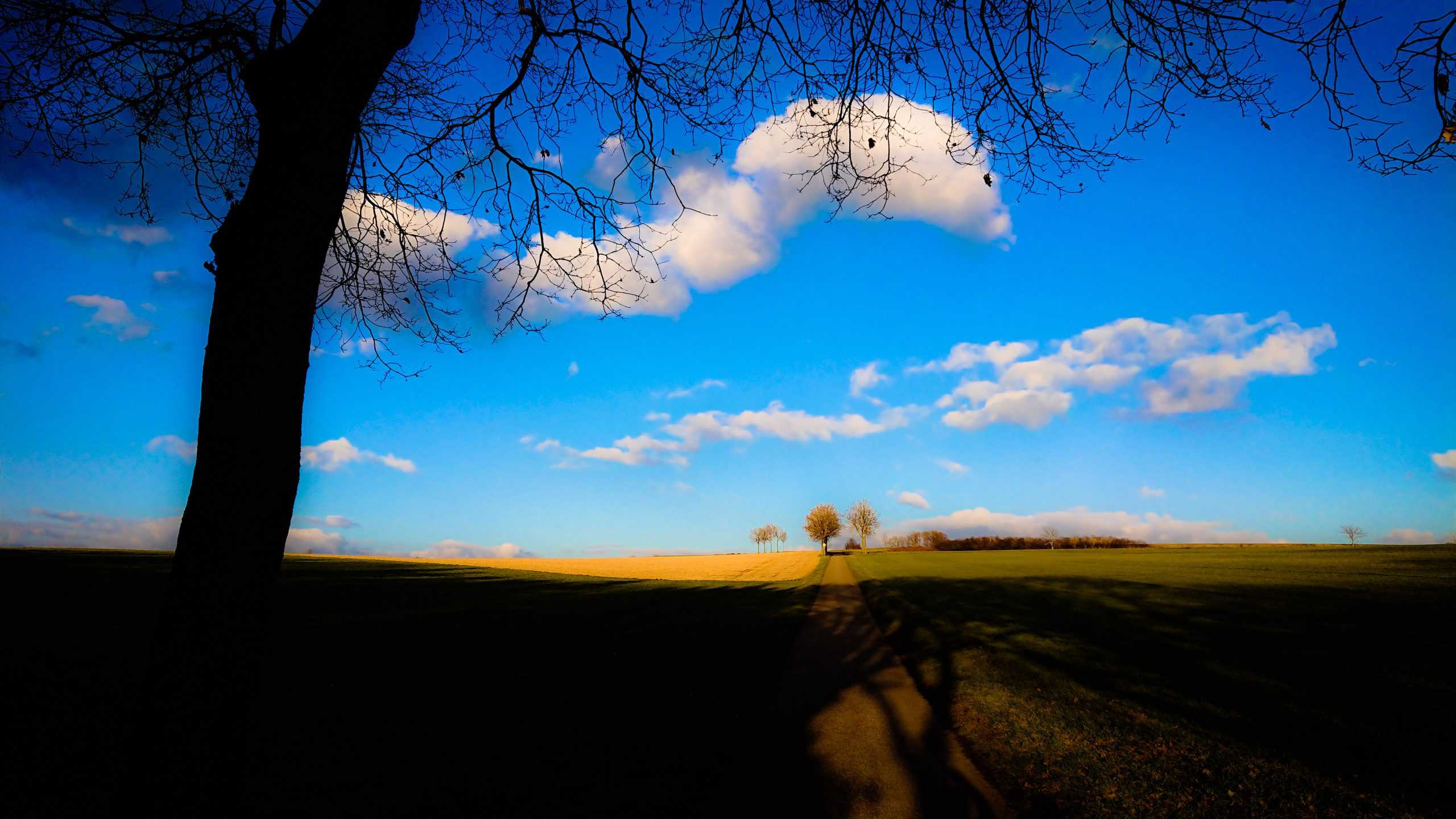 Landschap