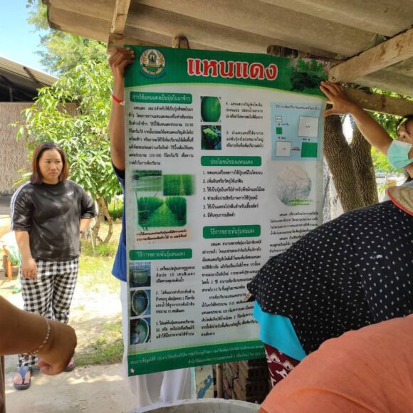 A Heartfelt Thank You to the Huai Hong Khrai Royal Project