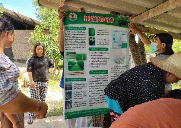 A Heartfelt Thank You to the Huai Hong Khrai Royal Project