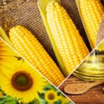 Çiftçiler teknolojinin olmadığı bir tarım düşünemiyor