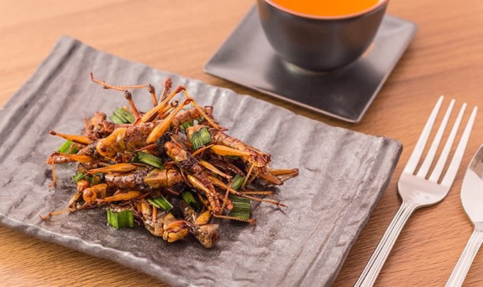 Adisseo ve Entobel’den alternatif protein için işbirliği