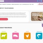 Adisseo’nun yeni web sayfası “Kar Marjlarınızı Koruyun” yayında