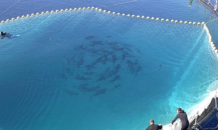 Balık, gıda ihracatında ocak ayının yıldızı oldu