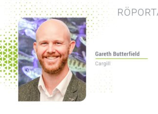 Balık refahı, balık beslemesinin temelini oluşturur