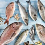 Türkiye “Balıkçılık ve Su Ürünleri Yılı” ilanının ardından ihracat hedefini büyüttü