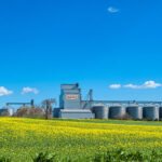 Banvit BRF, 2023 yılına kadar 46 milyon dolar yatırım yapacak