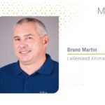 Besi sığırları ısı stresiyle nasıl başa çıkar?