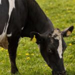 Biochem, Orta Asya’daki varlığını güçlendiriyor