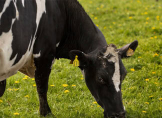 Biochem, Orta Asya’daki varlığını güçlendiriyor