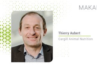 Bir Süt İkilemi: Yem maliyetleri, üretim performansı ve fitojeniklerin gücü