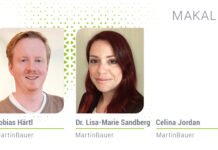 Bitkisel Yem Bileşenleri: İşlevsellik için stabilite kritik öneme sahiptir