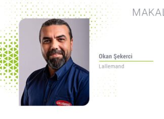 Buzağılarda bağışıklığın sağlanması, bağırsak olgunlaşması ve beslemenin rolü