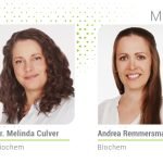 Canlı maya takviyesi ile besi sığırcılığında karları artırmak