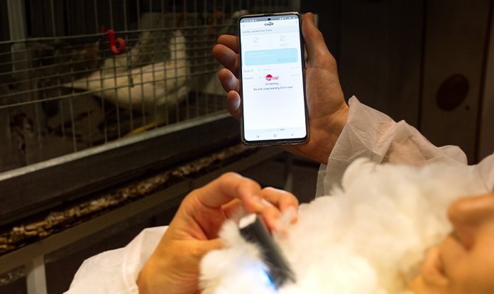 Cargill yeni non-invaziv NIR teknolojisi REVEAL™ Layers'ı piyasaya sürdü