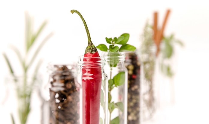 Cargill, Delacon fitojenik yem katkı maddelerini satın alıyor