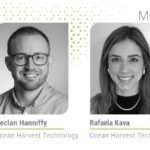 Deniz yosunu karışımları: Güçlü bağırsak sağlığı için doğal çözüm